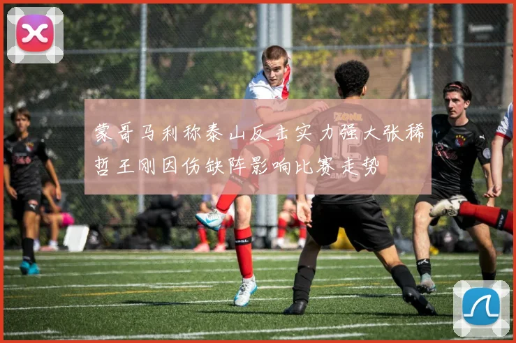 蒙哥马利称泰山反击实力强大张稀哲王刚因伤缺阵影响比赛走势